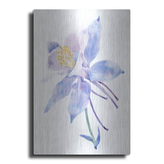 Luxe Metal Art 'Columbine Bloom II' by Tim O'Toole, Metal Wall Art