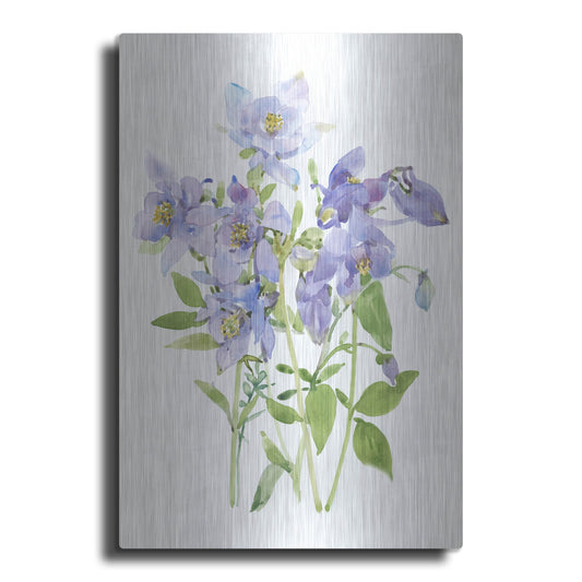 Luxe Metal Art 'Columbine Spray I' by Tim O'Toole, Metal Wall Art