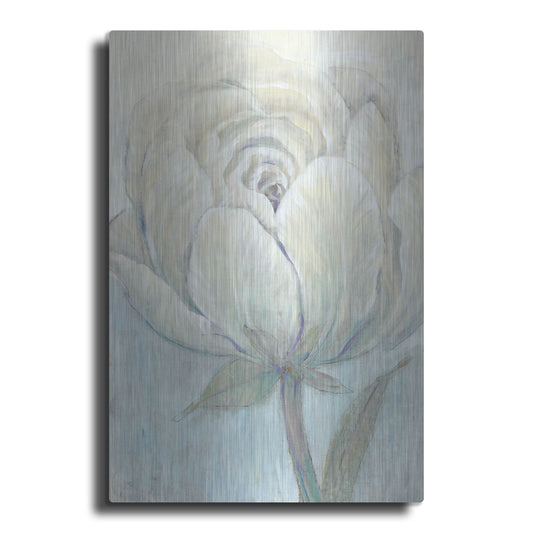 Luxe Metal Art 'English Rose I' by Tim O'Toole, Metal Wall Art