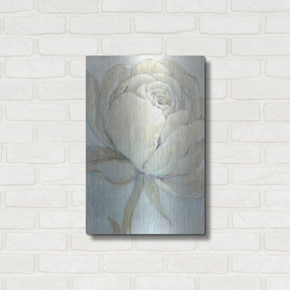 Luxe Metal Art 'English Rose II' by Tim O'Toole, Metal Wall Art,16x24