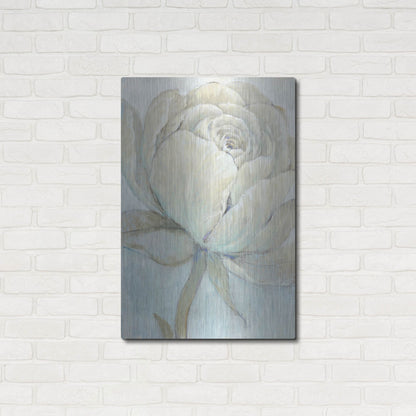 Luxe Metal Art 'English Rose II' by Tim O'Toole, Metal Wall Art,24x36