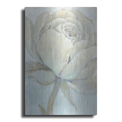 Luxe Metal Art 'English Rose II' by Tim O'Toole, Metal Wall Art