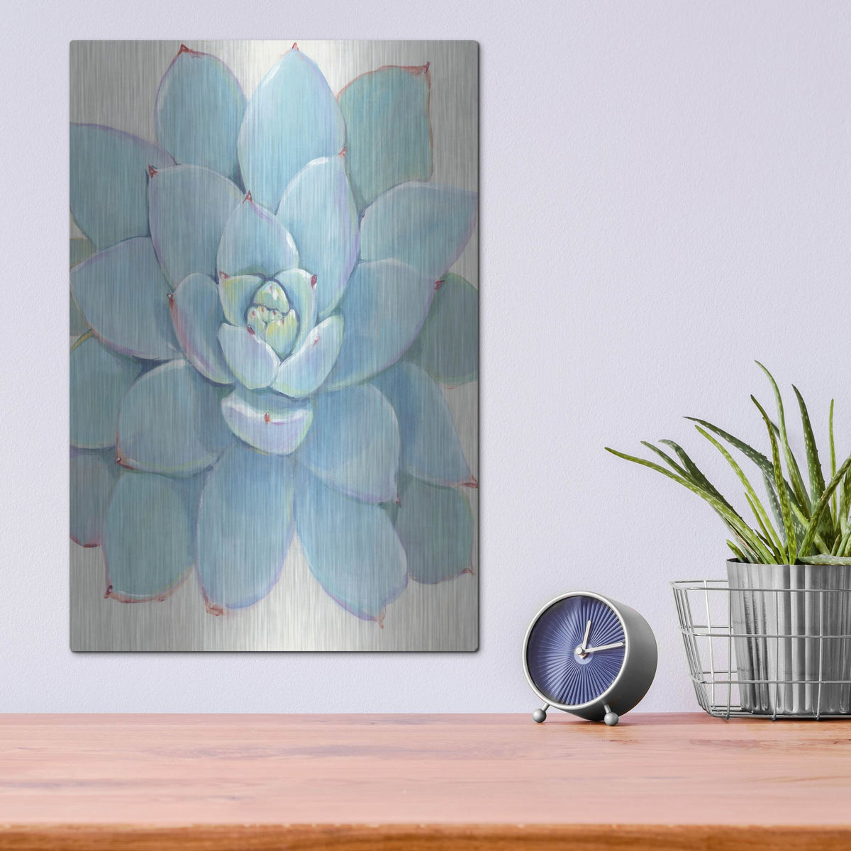Luxe Metal Art 'Pastel Succulent I' by Tim O'Toole, Metal Wall Art,12x16