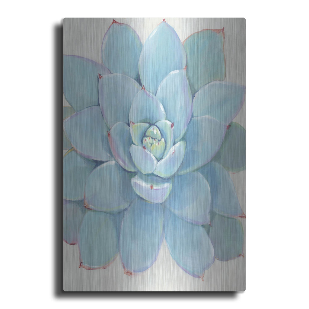 Luxe Metal Art 'Pastel Succulent I' by Tim O'Toole, Metal Wall Art