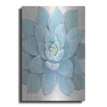 Luxe Metal Art 'Pastel Succulent I' by Tim O'Toole, Metal Wall Art