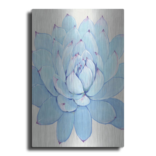 Luxe Metal Art 'Pastel Succulent II' by Tim O'Toole, Metal Wall Art