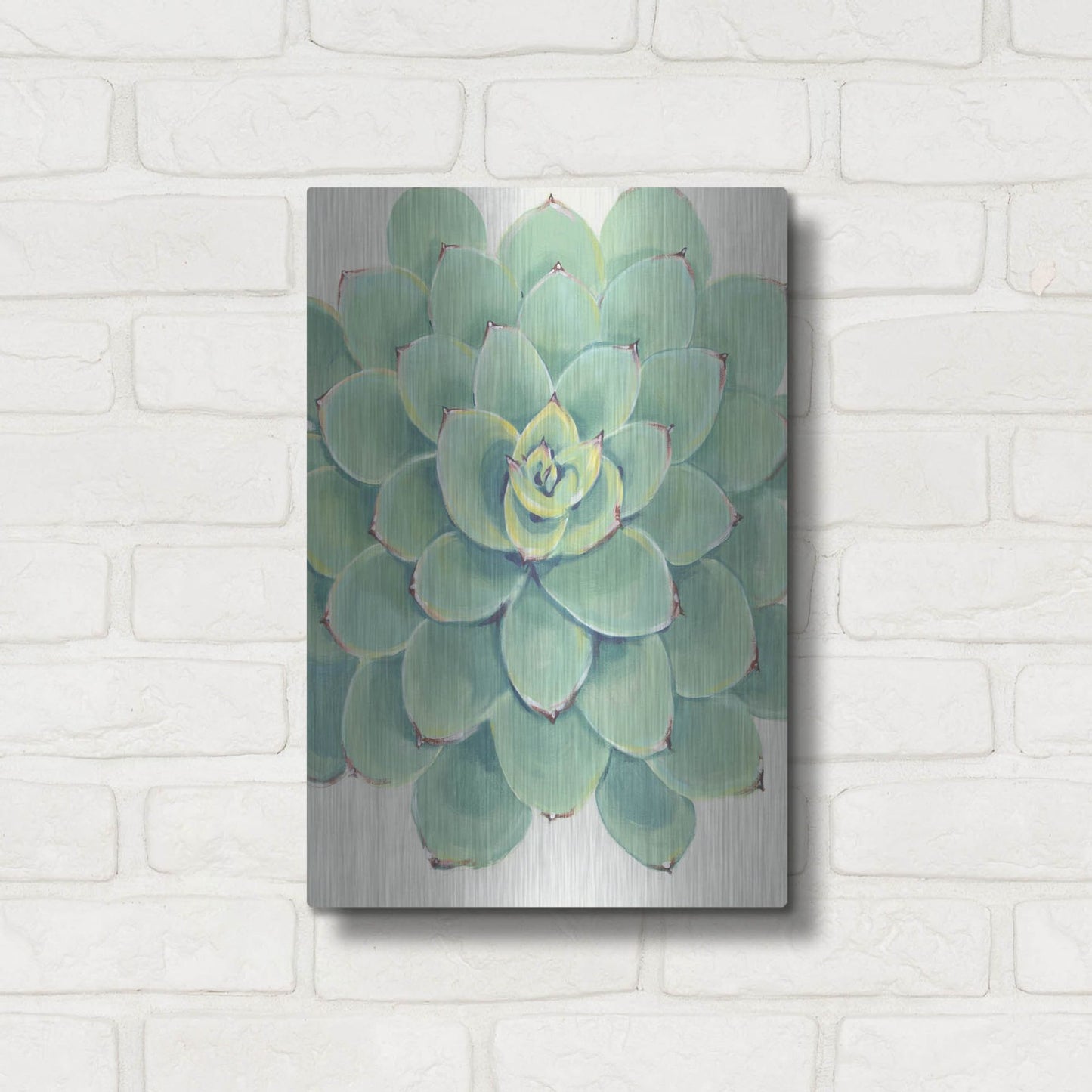 Luxe Metal Art 'Pastel Succulent III' by Tim O'Toole, Metal Wall Art,12x16