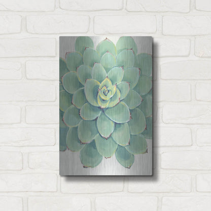 Luxe Metal Art 'Pastel Succulent III' by Tim O'Toole, Metal Wall Art,12x16