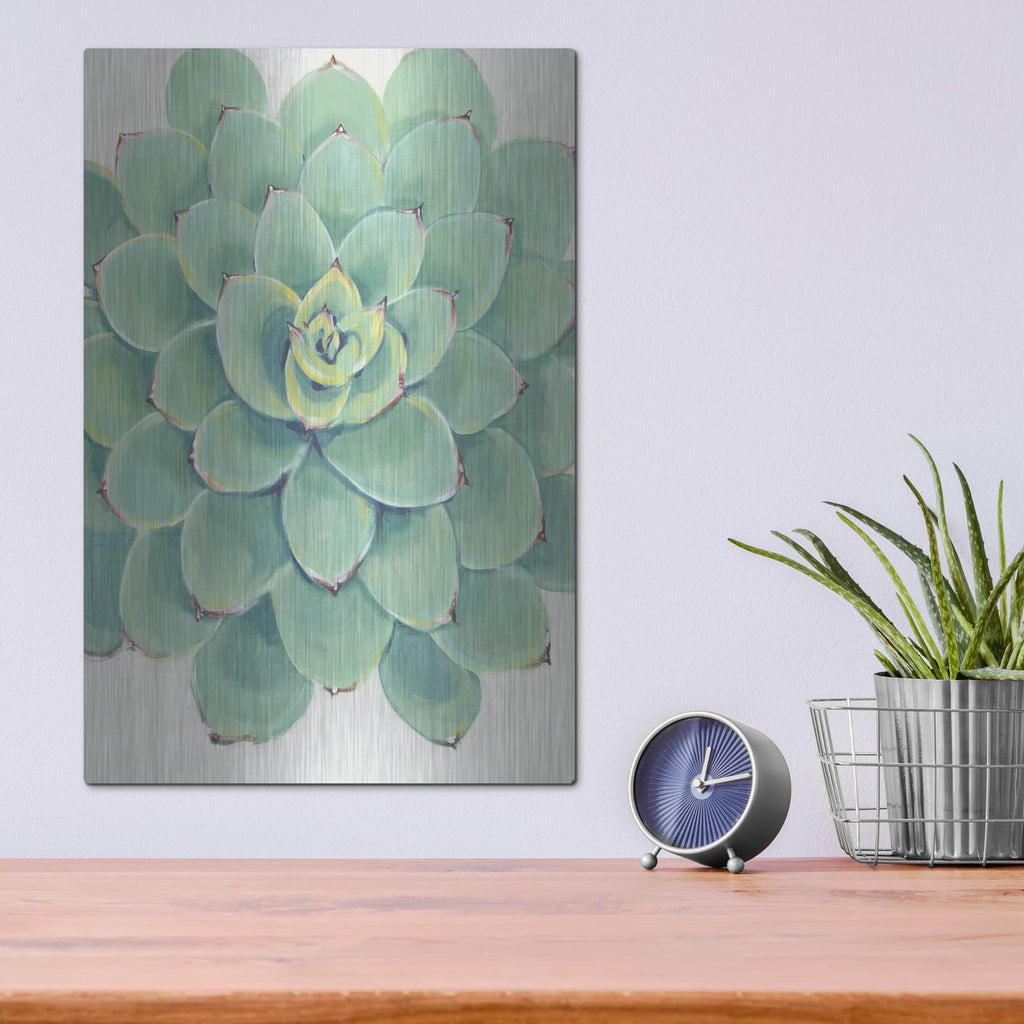 'Pastel Succulent III' by Tim O'Toole – Metal Wall Art, 12x16 room view