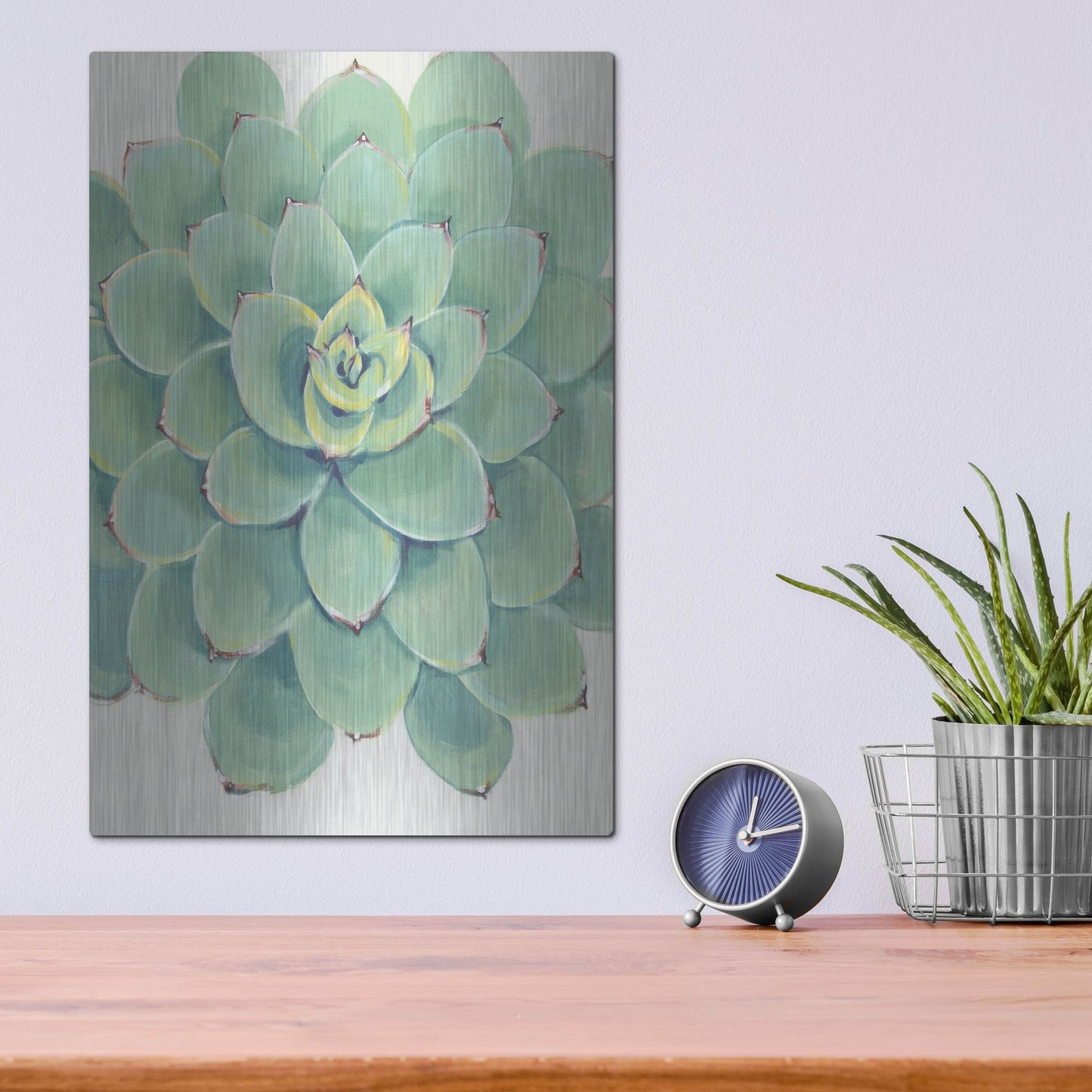 Luxe Metal Art 'Pastel Succulent III' by Tim O'Toole, Metal Wall Art,12x16