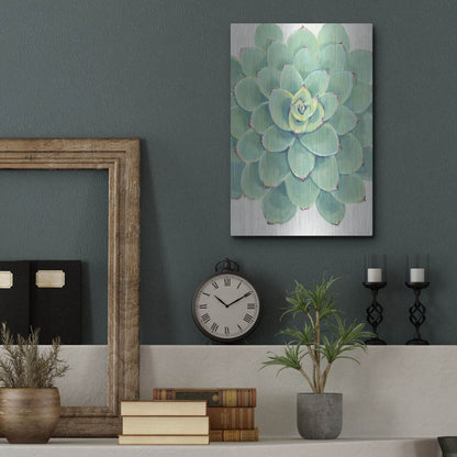 Luxe Metal Art 'Pastel Succulent III' by Tim O'Toole, Metal Wall Art,12x16