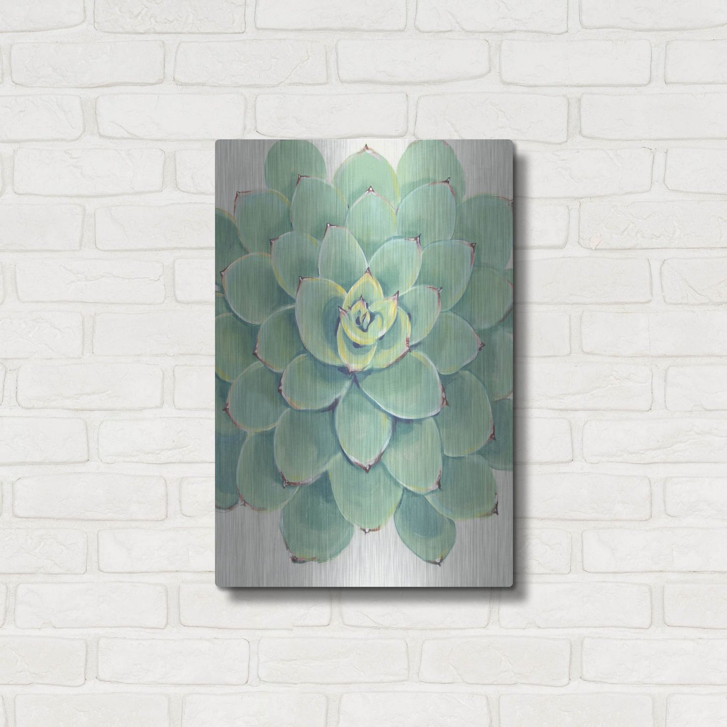 Luxe Metal Art 'Pastel Succulent III' by Tim O'Toole, Metal Wall Art,16x24