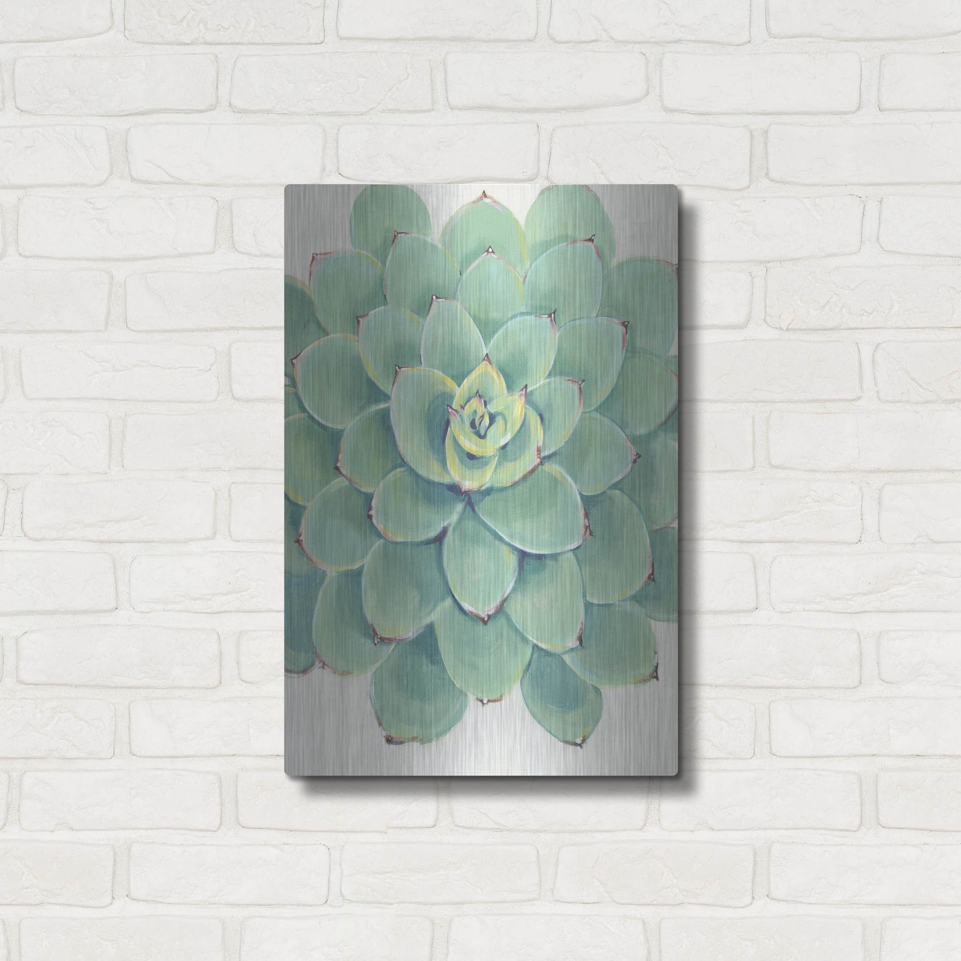 Luxe Metal Art 'Pastel Succulent III' by Tim O'Toole, Metal Wall Art,16x24