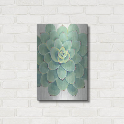 Luxe Metal Art 'Pastel Succulent III' by Tim O'Toole, Metal Wall Art,16x24