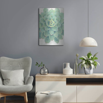 Luxe Metal Art 'Pastel Succulent III' by Tim O'Toole, Metal Wall Art,16x24