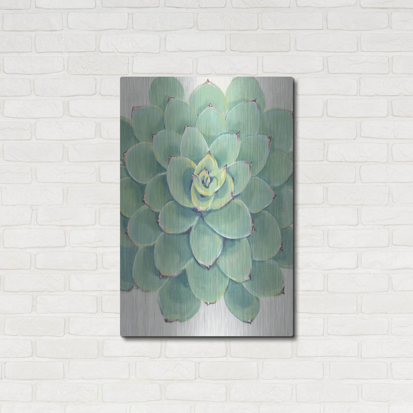 Luxe Metal Art 'Pastel Succulent III' by Tim O'Toole, Metal Wall Art,24x36