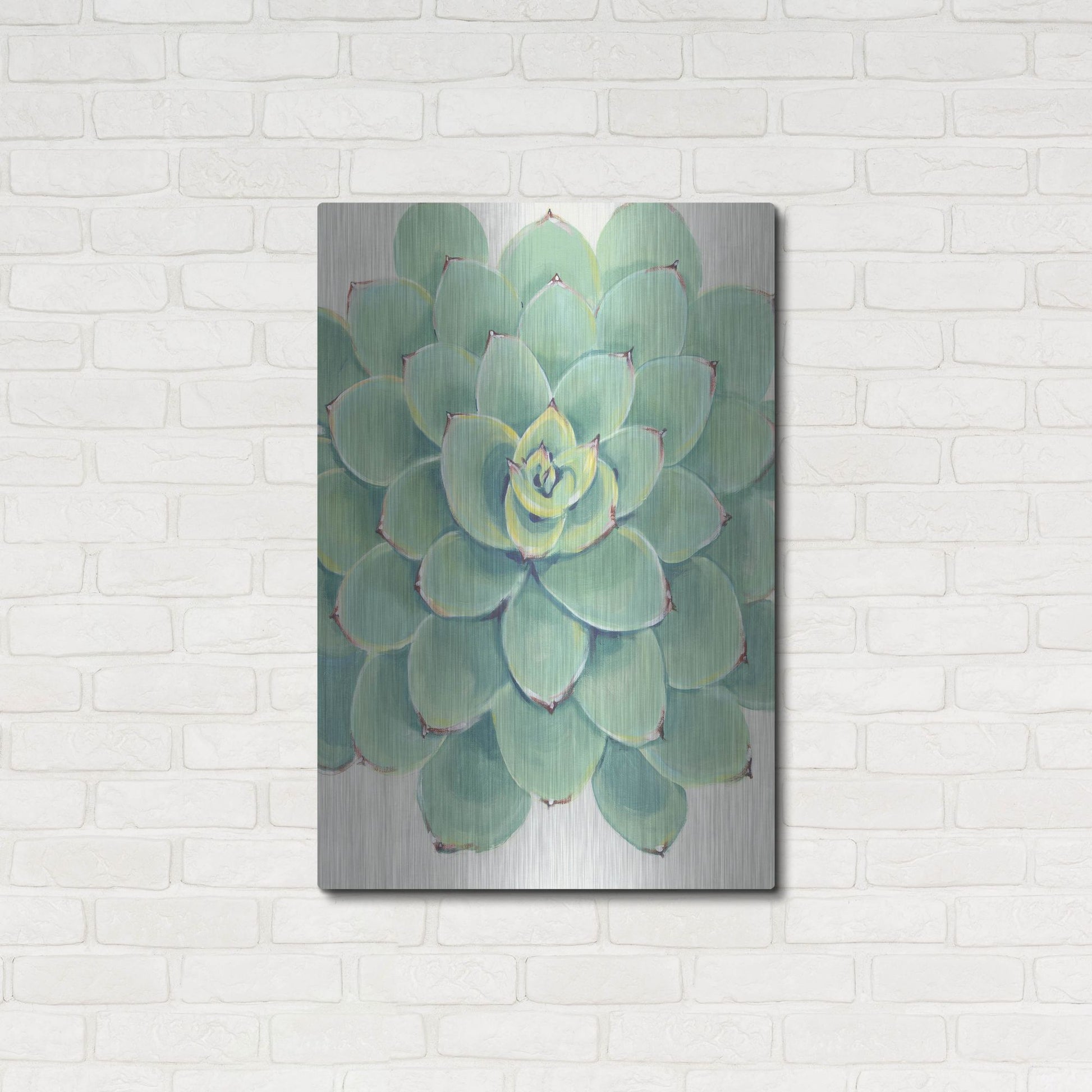 Luxe Metal Art 'Pastel Succulent III' by Tim O'Toole, Metal Wall Art,24x36
