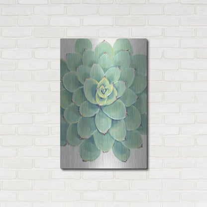 Luxe Metal Art 'Pastel Succulent III' by Tim O'Toole, Metal Wall Art,24x36