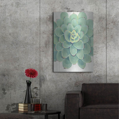 Luxe Metal Art 'Pastel Succulent III' by Tim O'Toole, Metal Wall Art,24x36