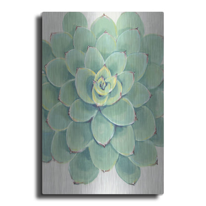 Luxe Metal Art 'Pastel Succulent III' by Tim O'Toole, Metal Wall Art