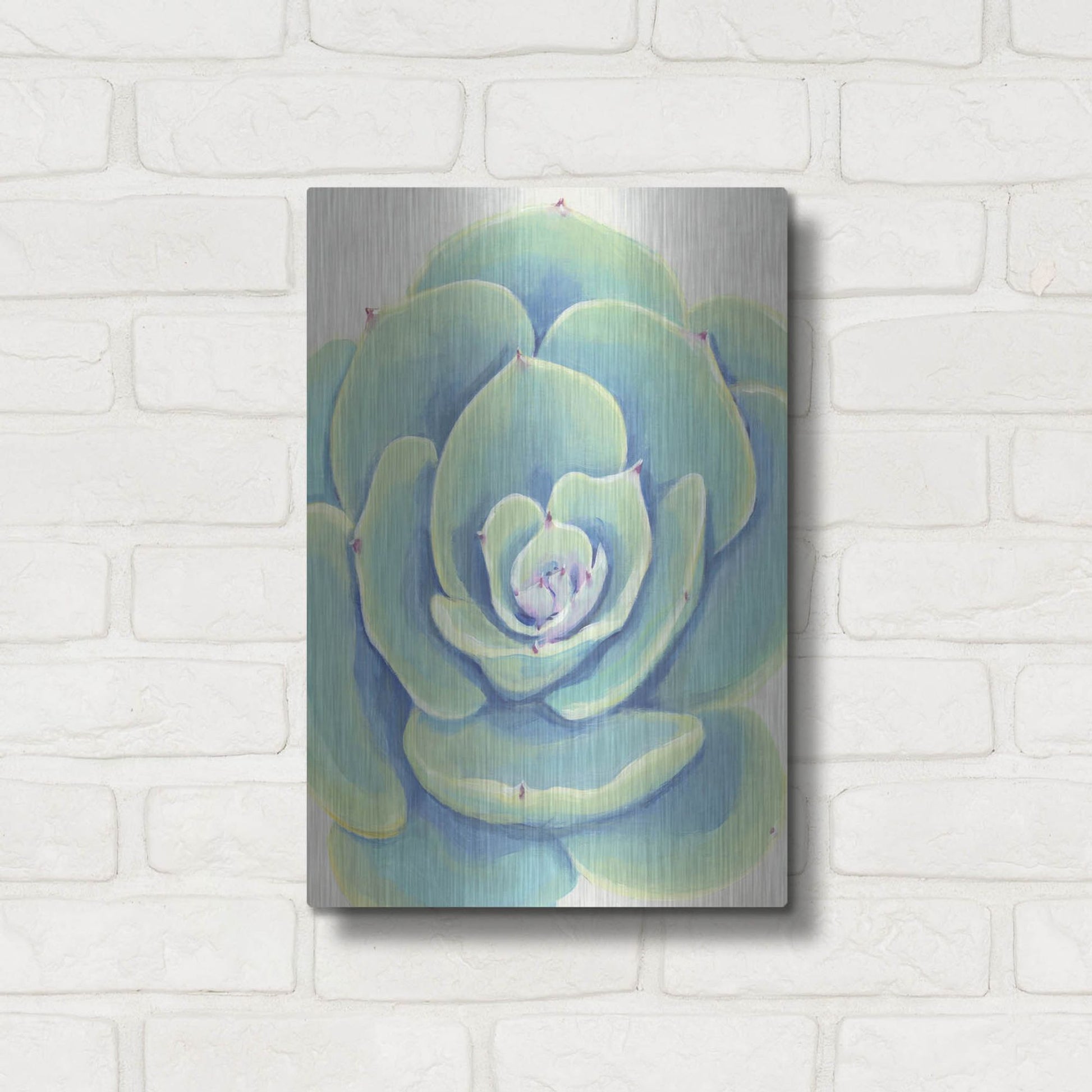 Luxe Metal Art 'Pastel Succulent IV' by Tim O'Toole, Metal Wall Art,12x16