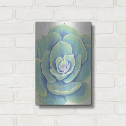 Luxe Metal Art 'Pastel Succulent IV' by Tim O'Toole, Metal Wall Art,12x16