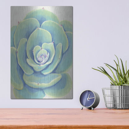 Luxe Metal Art 'Pastel Succulent IV' by Tim O'Toole, Metal Wall Art,12x16