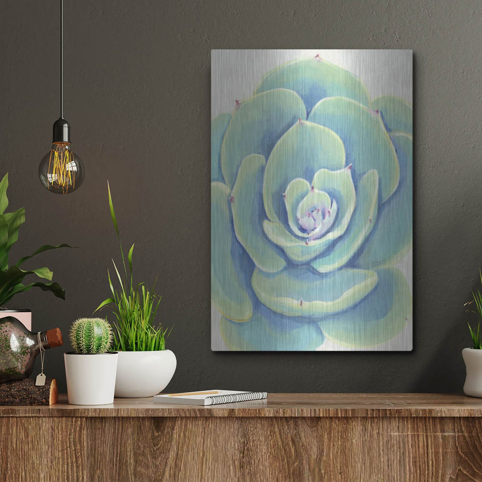 Luxe Metal Art 'Pastel Succulent IV' by Tim O'Toole, Metal Wall Art,12x16