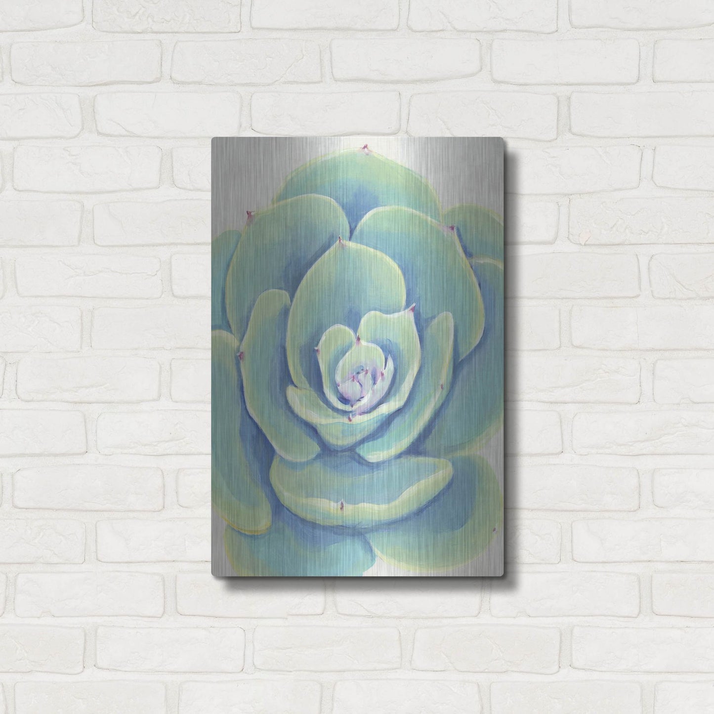 Luxe Metal Art 'Pastel Succulent IV' by Tim O'Toole, Metal Wall Art,16x24