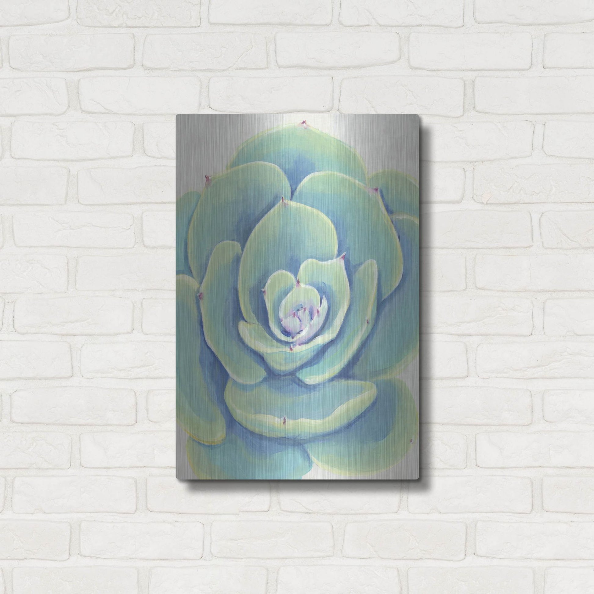 Luxe Metal Art 'Pastel Succulent IV' by Tim O'Toole, Metal Wall Art,16x24
