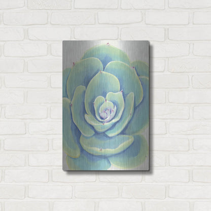 Luxe Metal Art 'Pastel Succulent IV' by Tim O'Toole, Metal Wall Art,16x24
