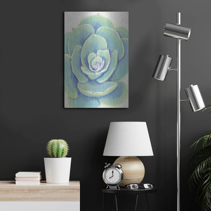 Luxe Metal Art 'Pastel Succulent IV' by Tim O'Toole, Metal Wall Art,16x24