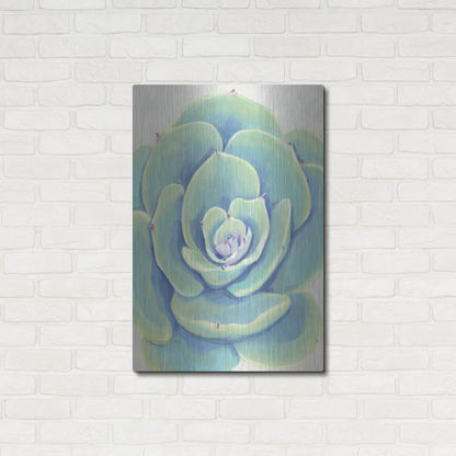 Luxe Metal Art 'Pastel Succulent IV' by Tim O'Toole, Metal Wall Art,24x36