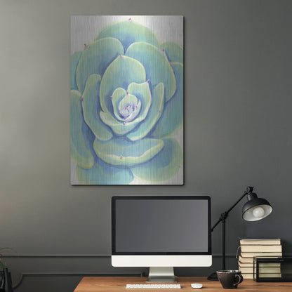 Luxe Metal Art 'Pastel Succulent IV' by Tim O'Toole, Metal Wall Art,24x36