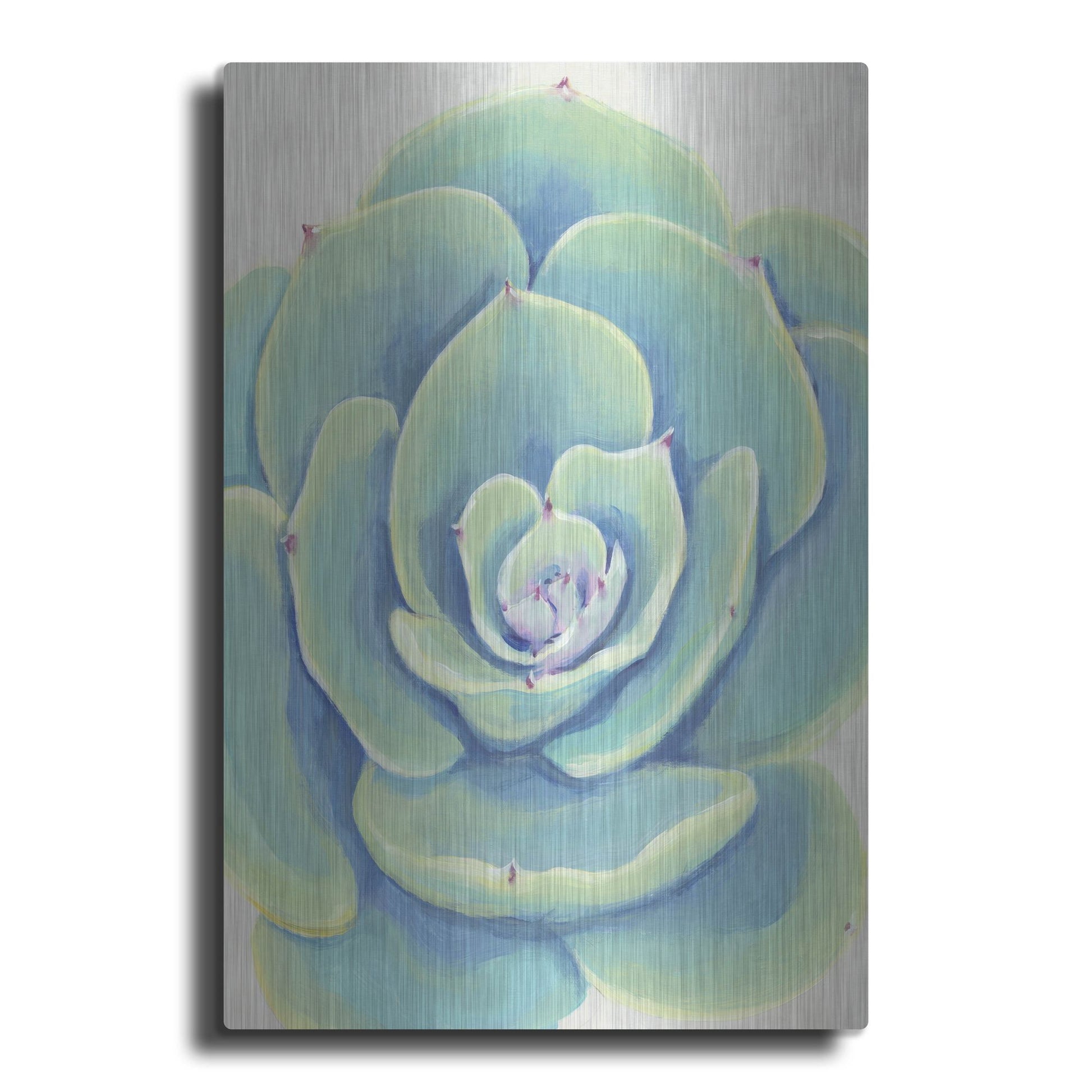 Luxe Metal Art 'Pastel Succulent IV' by Tim O'Toole, Metal Wall Art