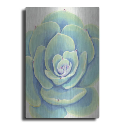 Luxe Metal Art 'Pastel Succulent IV' by Tim O'Toole, Metal Wall Art