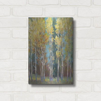 Luxe Metal Art 'Aspen Grove I' by Tim O'Toole, Metal Wall Art,12x16