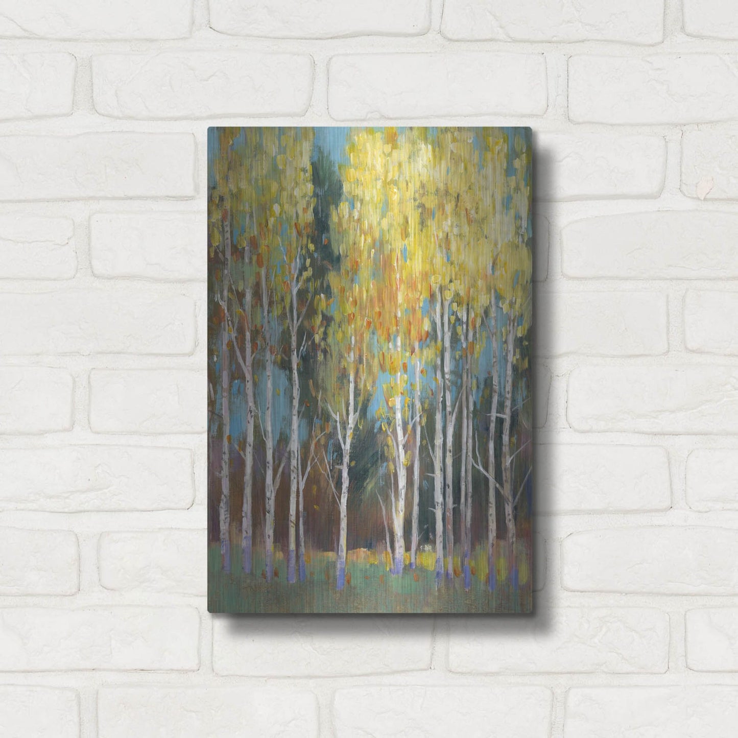 Luxe Metal Art 'Aspen Grove II' by Tim O'Toole, Metal Wall Art,12x16