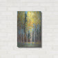 Luxe Metal Art 'Aspen Grove II' by Tim O'Toole, Metal Wall Art,16x24