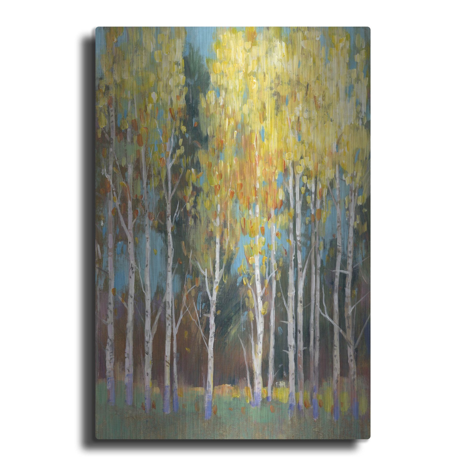 Luxe Metal Art 'Aspen Grove II' by Tim O'Toole, Metal Wall Art