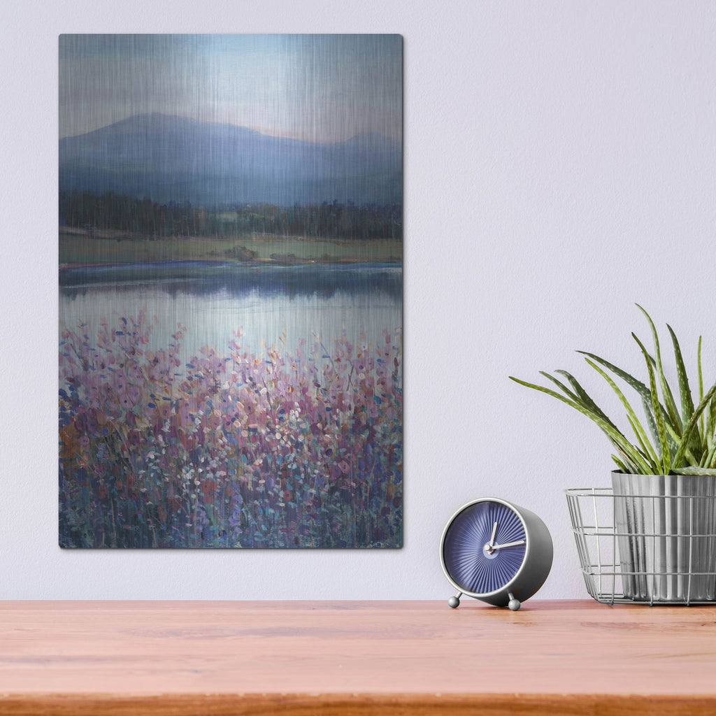 Luxe Metal Art 'Lakeside Mountain I' by Tim O'Toole, Metal Wall Art,12x16