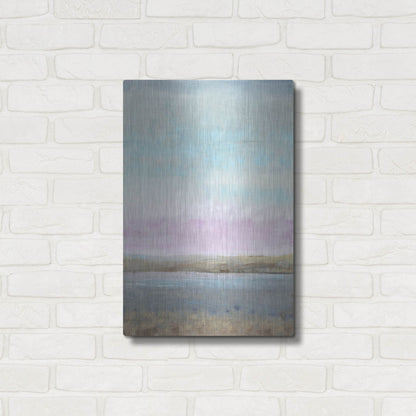Luxe Metal Art 'Pink Horizon I' by Tim O'Toole, Metal Wall Art,16x24