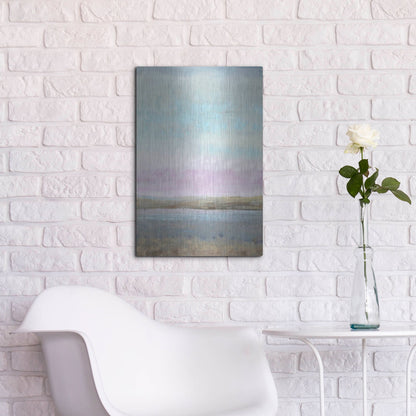 Luxe Metal Art 'Pink Horizon I' by Tim O'Toole, Metal Wall Art,16x24