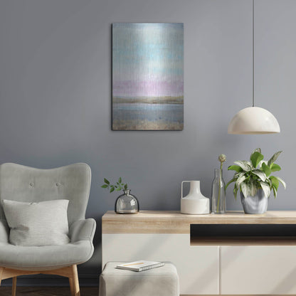 Luxe Metal Art 'Pink Horizon I' by Tim O'Toole, Metal Wall Art,16x24