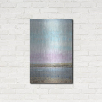 Luxe Metal Art 'Pink Horizon I' by Tim O'Toole, Metal Wall Art,24x36