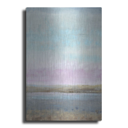 Luxe Metal Art 'Pink Horizon I' by Tim O'Toole, Metal Wall Art