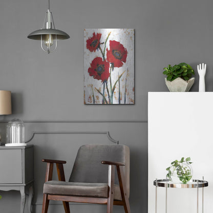 Luxe Metal Art 'Red Poppy Fresco I' by Tim O'Toole, Metal Wall Art,16x24