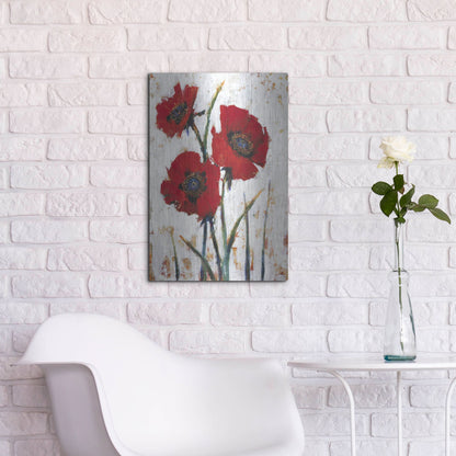 Luxe Metal Art 'Red Poppy Fresco I' by Tim O'Toole, Metal Wall Art,16x24