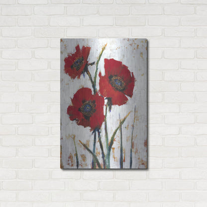 Luxe Metal Art 'Red Poppy Fresco I' by Tim O'Toole, Metal Wall Art,24x36