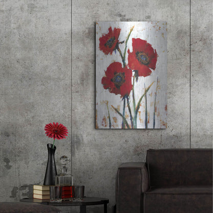 Luxe Metal Art 'Red Poppy Fresco I' by Tim O'Toole, Metal Wall Art,24x36